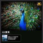 HERAN 55-inch 4K Connected LCD TV No Set-Top Box Includes Basic Installation HD-55MF1, , large
