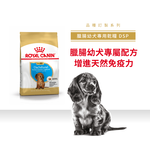 Royal Canin Dachshund Puppy DSP, , large