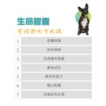 【虎揚】LIFE+ 犬用 生命膠囊 (60粒/盒) 甲魚蛋 鱉丹 爆毛丹 寵物保健, , large