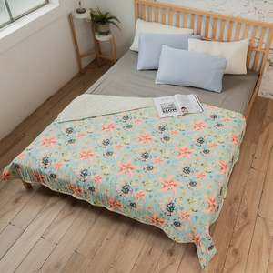 【日本旭川】極致雙面空調石墨烯被 石墨烯涼被 四季被 空調被 冷氣被 涼感被 棉被