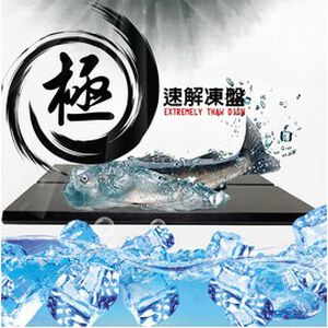 金德恩 GS MALL 台灣製造 一入 急速解凍盤 解凍盤 解凍板 急速盤 解凍器 快速解凍板 解凍料理 料理解凍盤