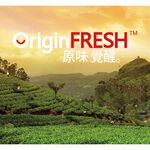 TOSHIBA 411L Inverter Refrigerator GR-RT559WE-PMT, , large