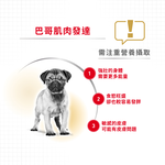【Royal Canin法國皇家】巴戈成犬PUGA, , large