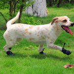 【寵愛生活本舖】寵物中筒拉鍊式縮口休閒犬鞋 不掉 狗鞋 大狗鞋 小狗鞋 寵物鞋, , large