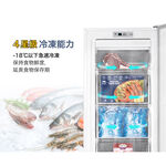 TATUNG 203L Upright Freezer TR-200SFH, , large