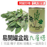 【心安購物】iPlant易開罐盆栽-九層塔, , large