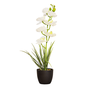 ARTIFICIAL ORCHID PLANT W/BLACK POT-WHITE
