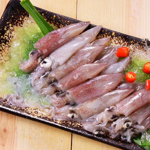 Neritic Squid