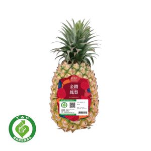 TAP Diamond Pineapple