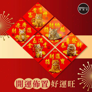 Spring Festival decoration