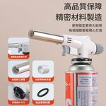 Portable spray gun, , large