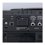 Roland BT-DUAL, , large