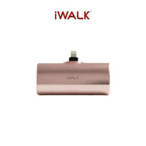 Double plug-in power bank