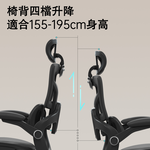 Double-wing Ergonomic Chair, , large