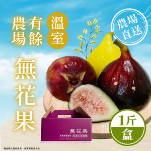 【家購網嚴選】雲林有餘農場-有機無毒三色無花果1斤禮盒(約9~11顆)