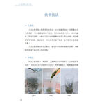 《南門書局》泡好一壺茶~泡茶／品茶與鑑茶／茶葉, , large