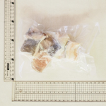 Grouper, , large
