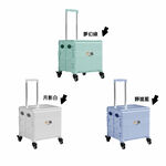【A&R】吾家有貓多功能四輪折疊購物車 45L 夢幻綠 (萬向輪 摺疊 手拉車 收納車 拉桿 買菜 露營), , large