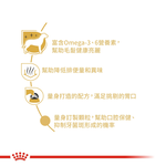 【拉拉寵物小舖】法國皇家 狗飼料 MTA 瑪爾濟斯成犬專用乾糧 1.5公斤, , large