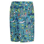 出清 NIKE SHARK 男小童六吋海灘褲 運動短褲 衝浪褲 沙灘褲 兒童短褲 NESSB884, , large