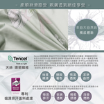 Indian新科技天絲吸濕排汗雙人加大四件式床包兩用被組-葉飛揚, , large