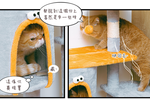 【Y HOUSE】Four views and one room Yunmiao House cat house/cat jumping platform/cat climbing frame/cat bed/cat toys/flannel/large cat bed, , large