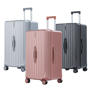 26/30 inch luggage