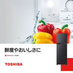 TOSHIBA 262L Inverter Double Door Refrigerator – Galaxy Gray GR-B31TP(SK), , large