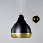 【H&R安室家】 矽谷吊燈 ZA0092, , large