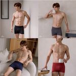 【Cheau Chi 】Men's Seamless Boxer Briefs - Seamless, Cooling, Antibacterial, Moisture-Wicking, , large