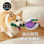 PET, , large