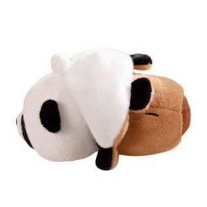 CAPYPARA TRANSFORMER