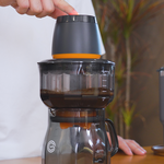 CT10006+CT20001, , large