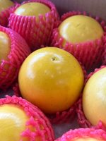 Tamarillo (Golden Fruit), , large