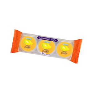 Cocon mango pudding