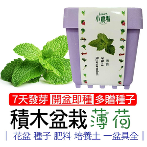 【心安購物】iPlant積木盆栽-薄荷