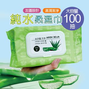 純水濕巾 加蓋濕巾 100抽 無酒精 柔濕巾 濕巾 SP-DR01 【旺達棉品】