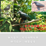 GS MALL 台灣製造 烏鴉造型驅鳥器 鳥類驅趕器 驅鳥器 防鳥裝置 烏鴉造型驅鳥 烏鴉驅鳥 造型驅鳥 烏鴉, , large