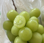 Yamanashi, Japan (Shine Muscat Grapes), , large