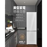 SANLUX 台灣三洋 250L 節能一級 變頻雙門冰箱 SR-V250BF, , large