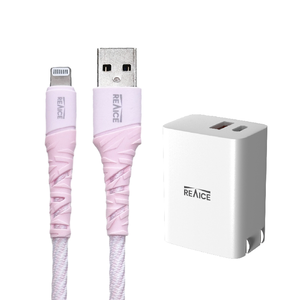 33W CHARGER+CABLE-AI