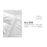 【PATTON POLO巴頓保羅】台製太空暖暖被(冬被/被子/被胎), , large