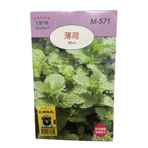 Skystar Mint &ndash; Herb Seeds