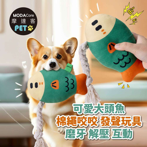 PET,  PET