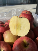 Aomori Honey Fuji Apple, , large