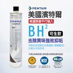 【麗水生活】EVERPURE 愛惠浦BH2 愛惠浦BH2濾心-美國原裝進口濾心 商業級抑垢家用濾芯, , large