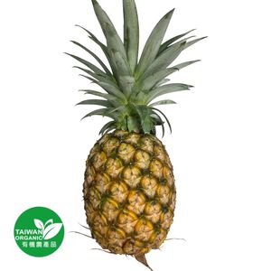 有機開英鳳梨900克/支
