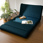 「CELLUTANE」Folding sofa, , large