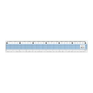 Pencom尚禹 30公分 事務尺 (RL-30)