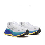 S20933-500, , large